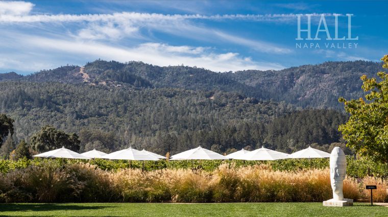 Hall Wines 