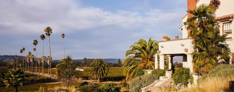 Scribe Winery