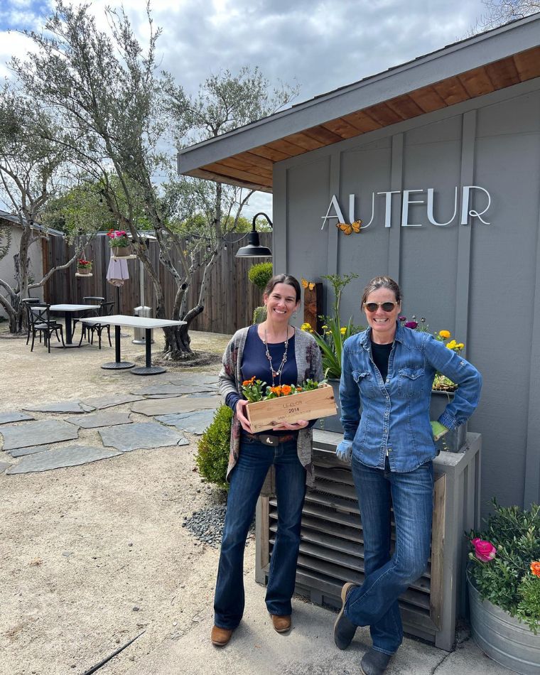 Auteur Wines