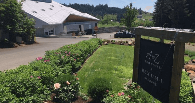 Rex Hill Winery