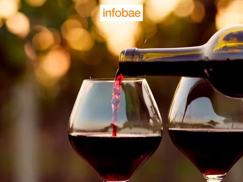 Photo for: Un vino argentino fue elegido como el mejor Malbec en un certamen internacional de sommeliers